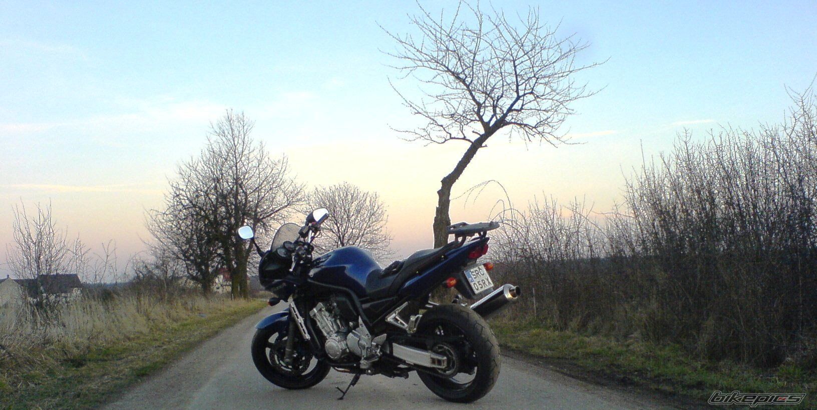 2003 YAMAHA FZS 1000 FAZER | Picture 1194762 motorcycle photo