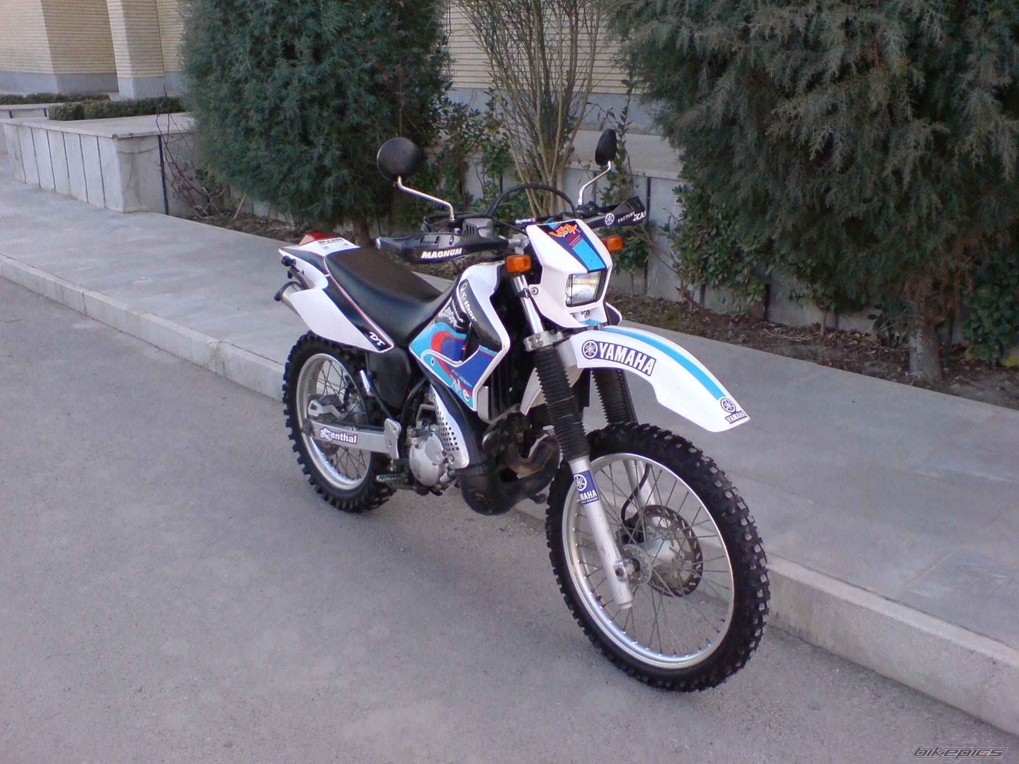 2008 YAMAHA DT 230 | Picture 1194804 motorcycle photo