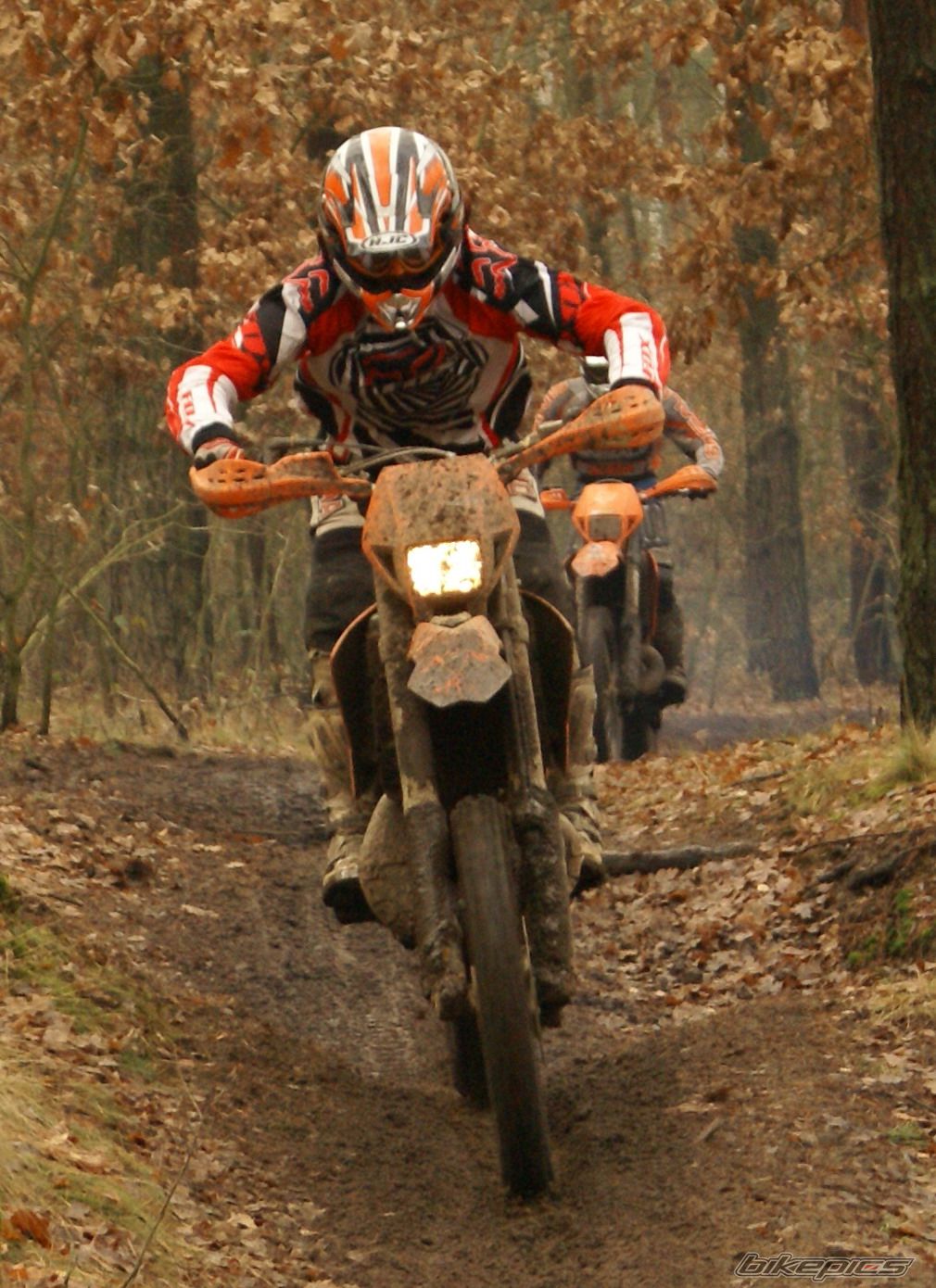 2004 KTM 200 EXC | Picture 1195187 motorcycle photo