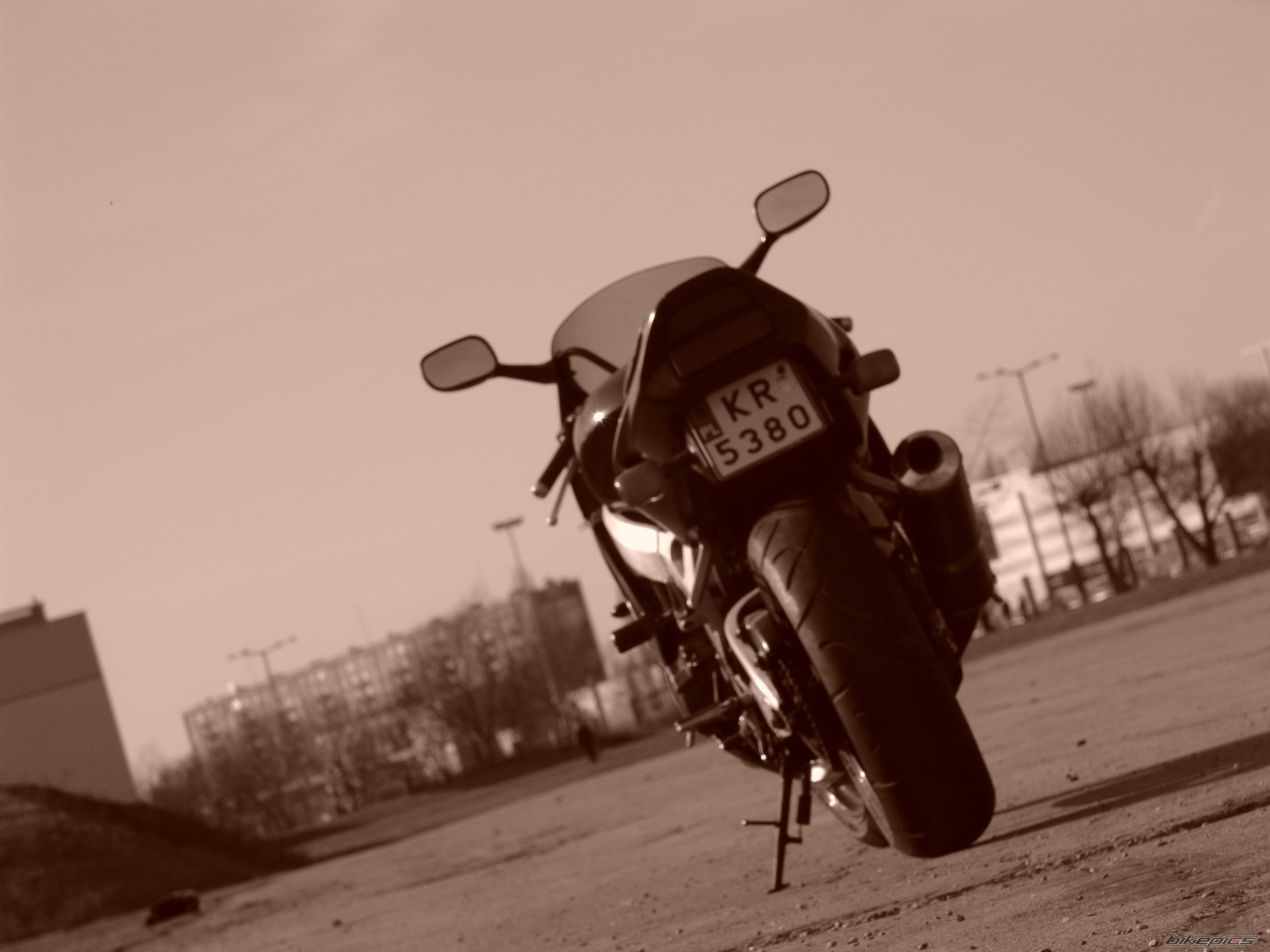 1996 HONDA CBR 900 | Picture 1195207 motorcycle photo
