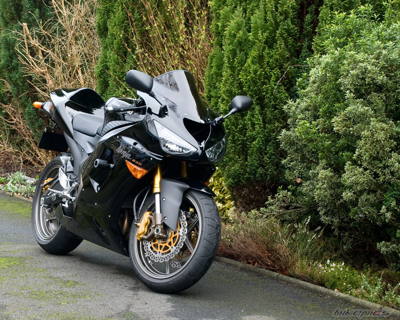 2006 KAWASAKI ZX 6R | Picture 1195228 motorcycle photo