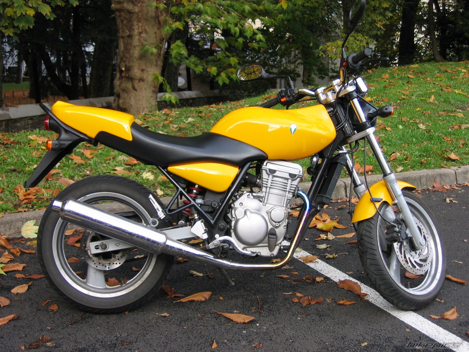 2001 MZ RT 125 | Picture 1195315 motorcycle photo