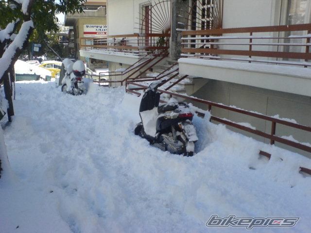 2008 PIAGGIO TYPHOON 80 | Picture 1195380 motorcycle photo