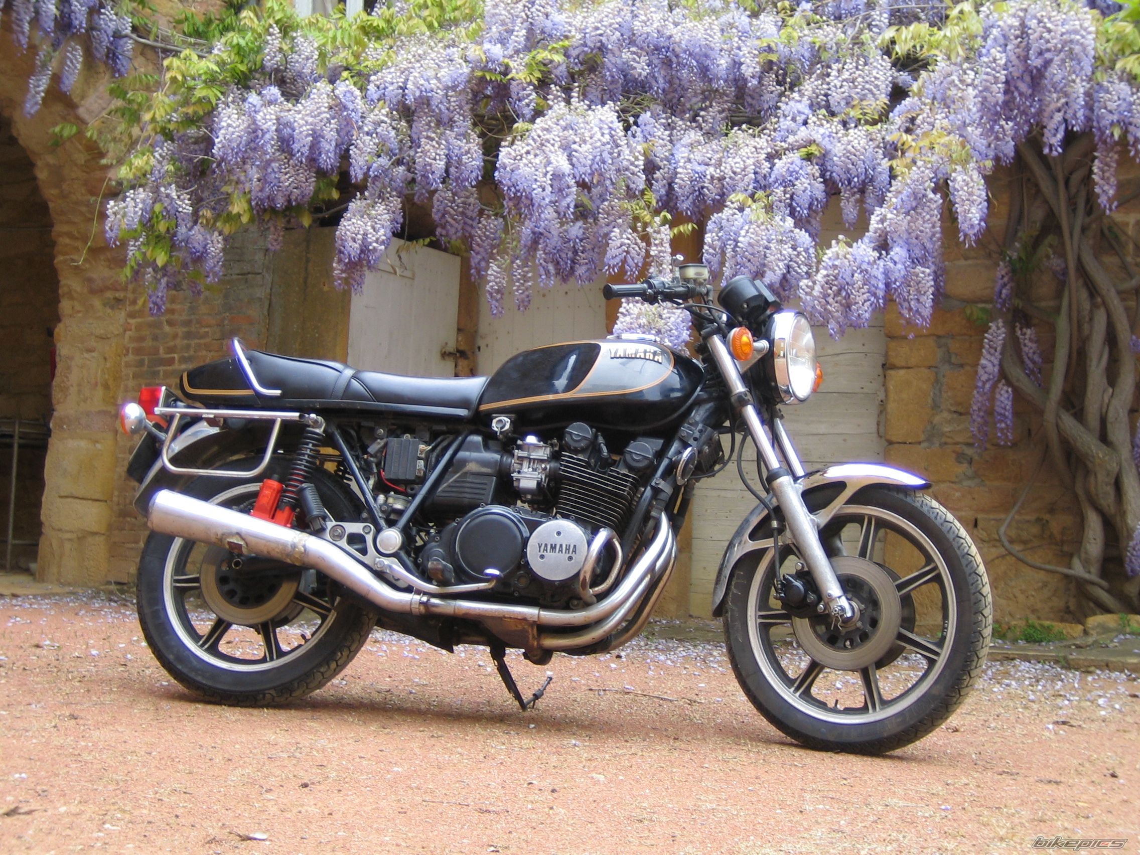 1980 YAMAHA XS 850 | Picture 1195433 motorcycle photo