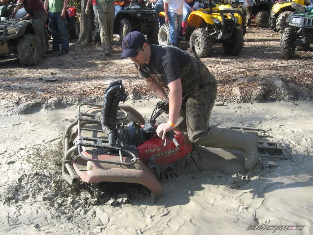 2008 YAMAHA GRIZZLY | Picture 1195726 motorcycle photo