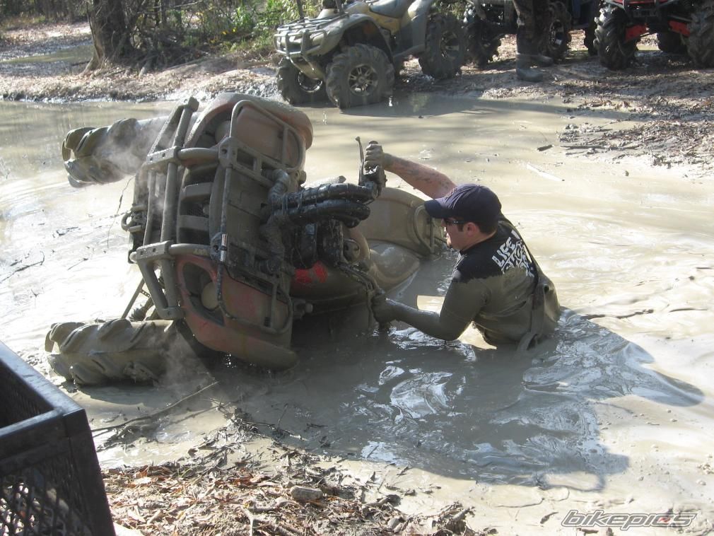 2008 YAMAHA GRIZZLY | Picture 1195727 motorcycle photo