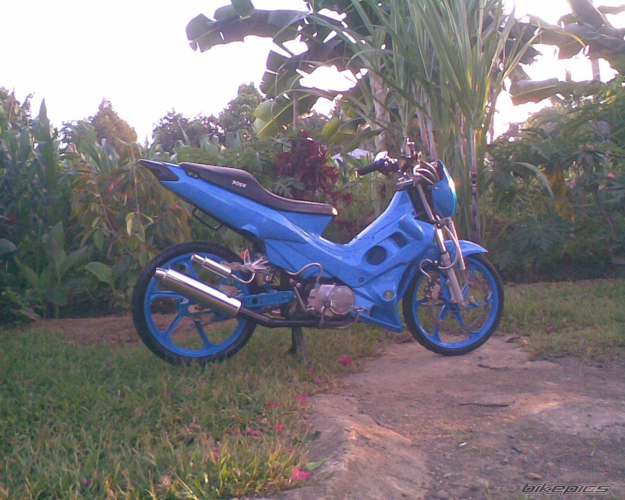 2008 HONDA XRM 110 | Picture 1195943 motorcycle photo
