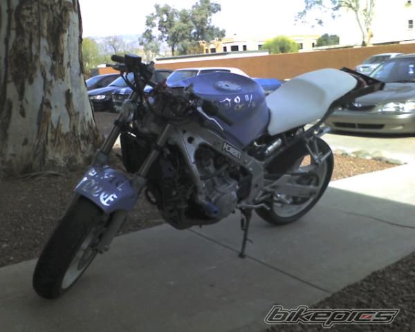 1996 HONDA CBR 600 | Picture 1196194 motorcycle photo