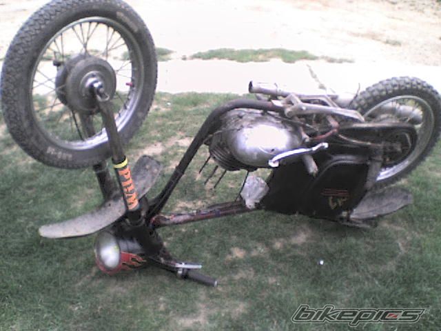 2008 CZ 175 | Picture 1196385 motorcycle photo