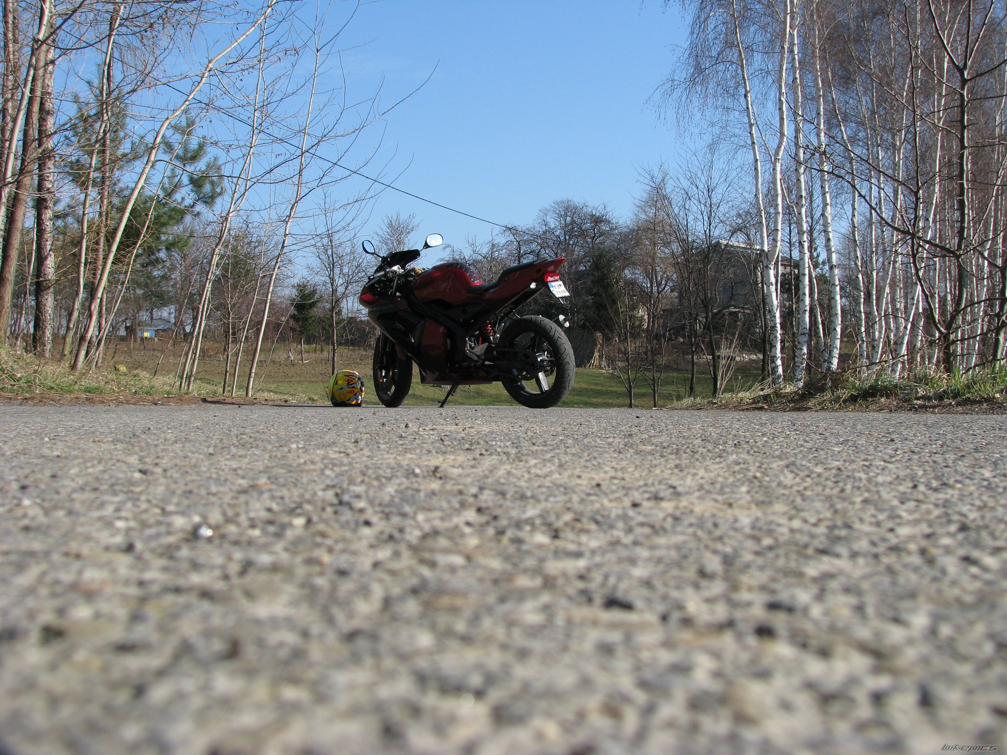 2003 YAMAHA TZR 50 | Picture 1196417 motorcycle photo