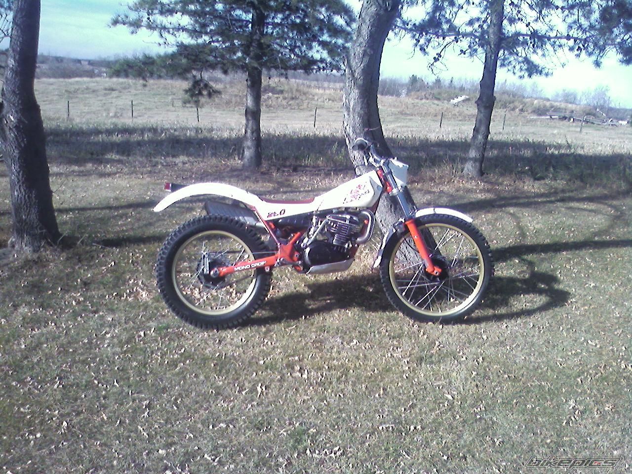 1984 YAMAHA TY 250 | Picture 1196444 motorcycle photo