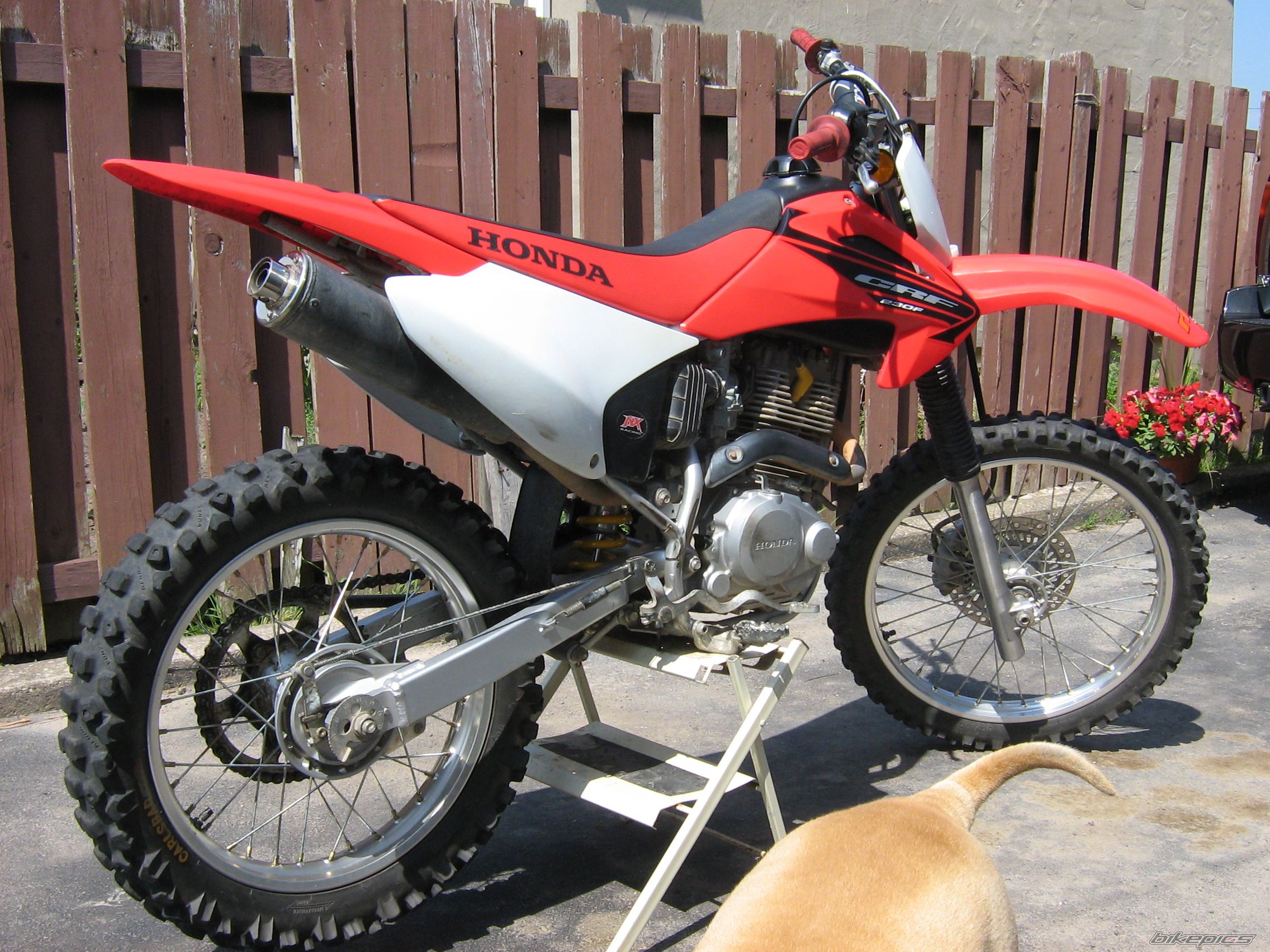 2005 HONDA CRF 230 | Picture 1196693 motorcycle photo
