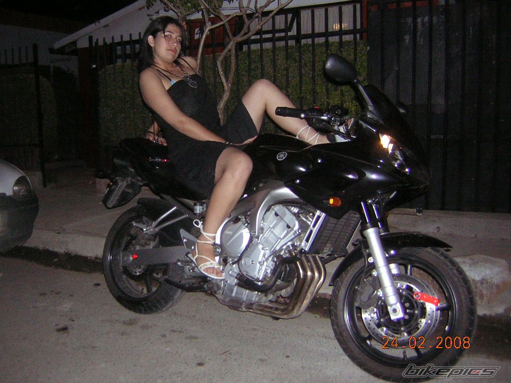 2006 YAMAHA FZ6 FAZER | Picture 1196886 motorcycle photo