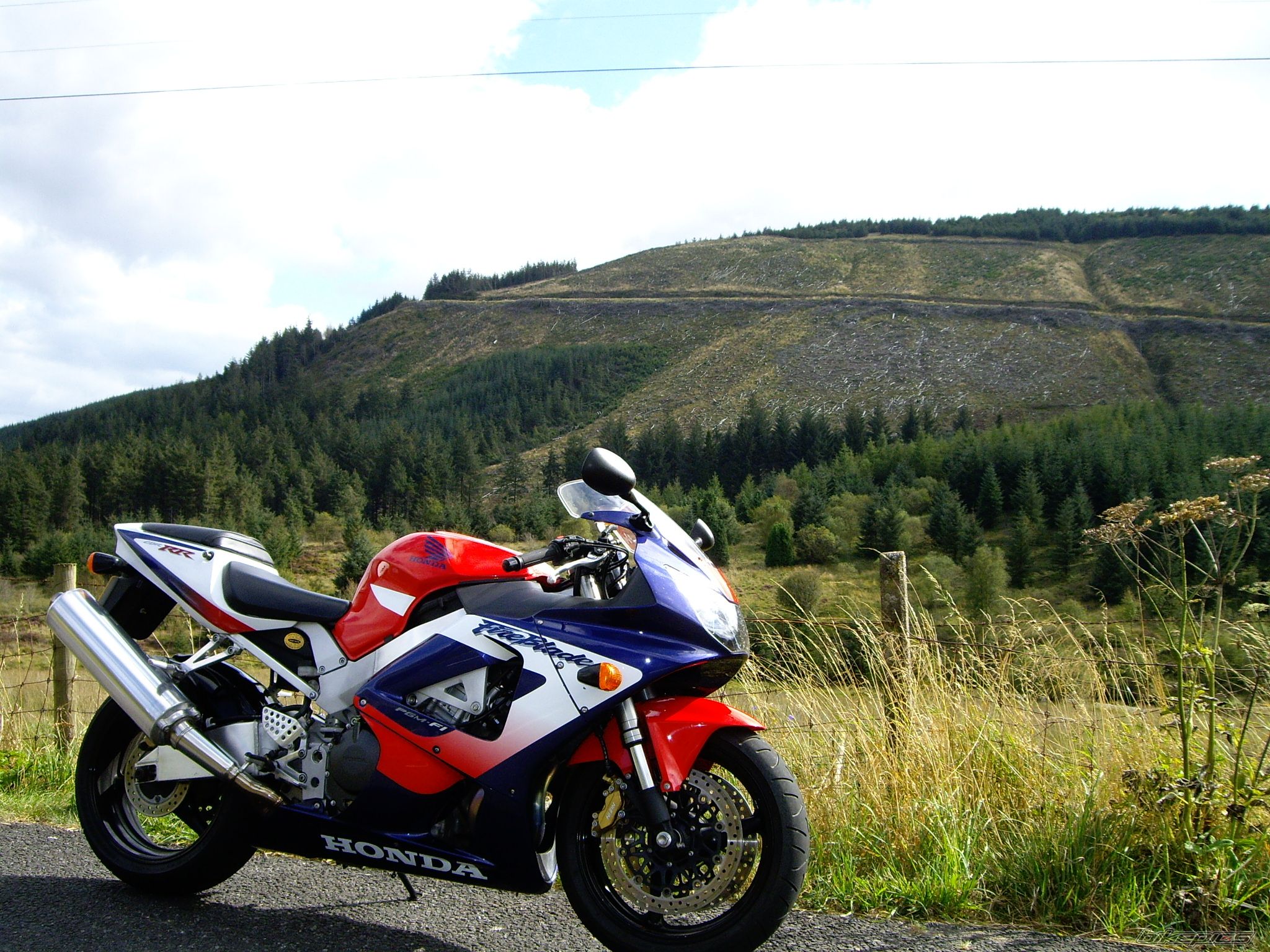 2001 HONDA CBR 900 | Picture 1196991 motorcycle photo
