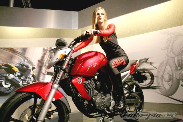 2008 YAMAHA FZ 150 | Picture 1197071 motorcycle photo