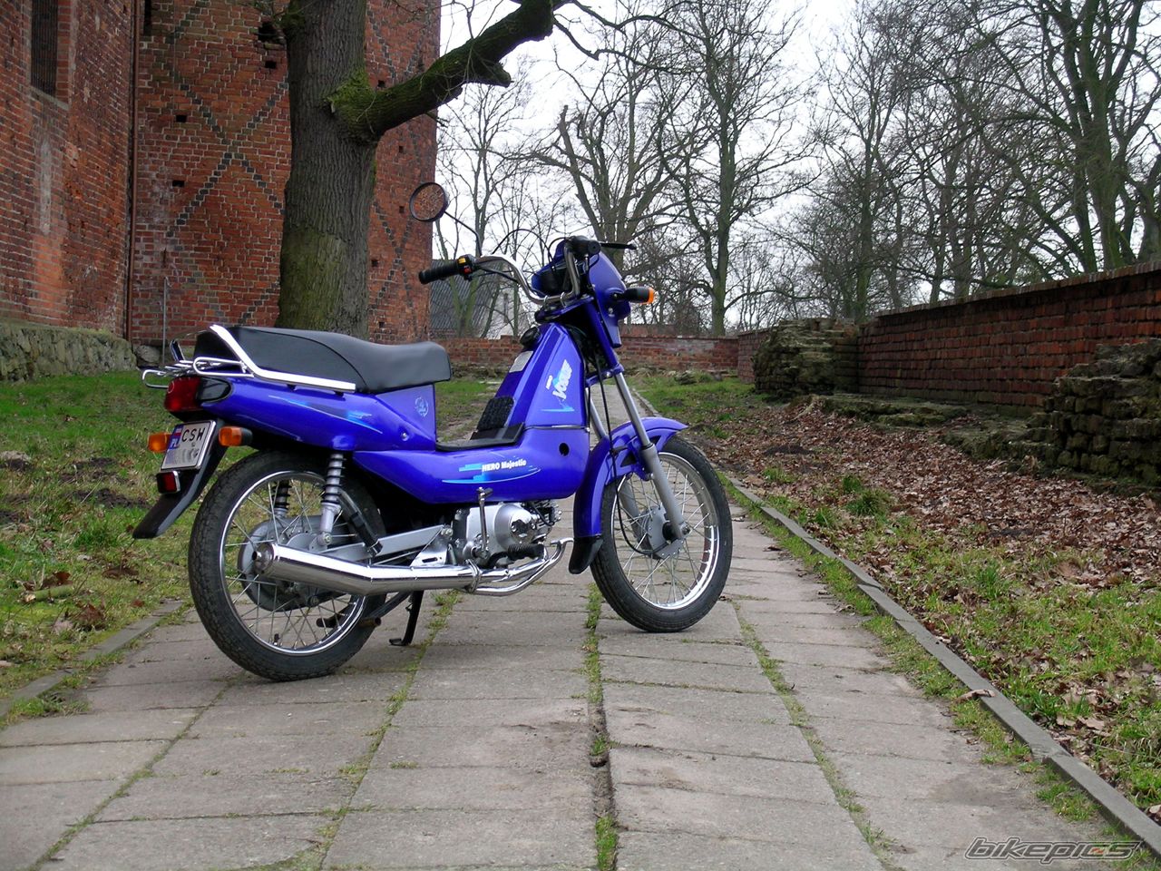 2006 HERO HONDA MAJESTIC | Picture 1197163 motorcycle photo