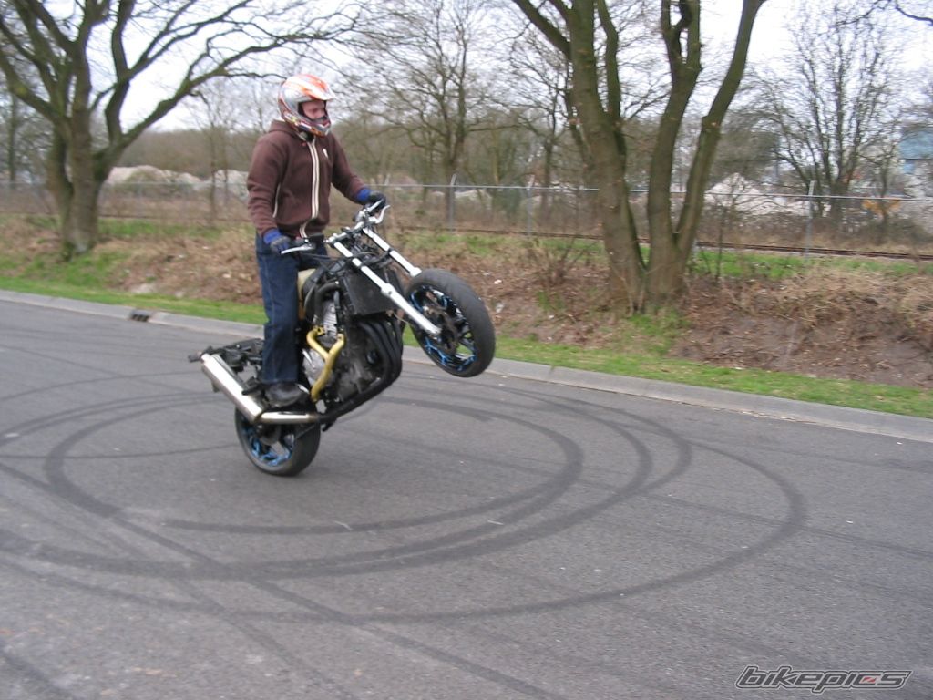 1994 HONDA CBR 600 | Picture 1197424 motorcycle photo