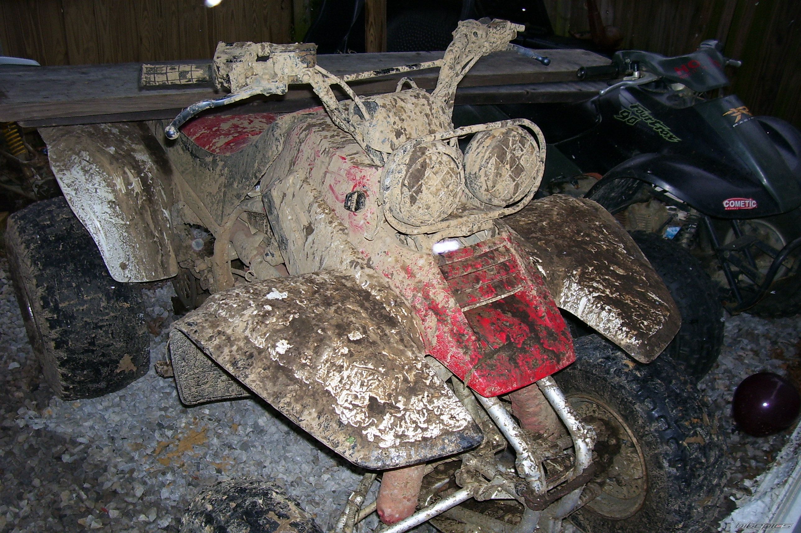2000 YAMAHA WARRIOR | Picture 1197692 motorcycle photo