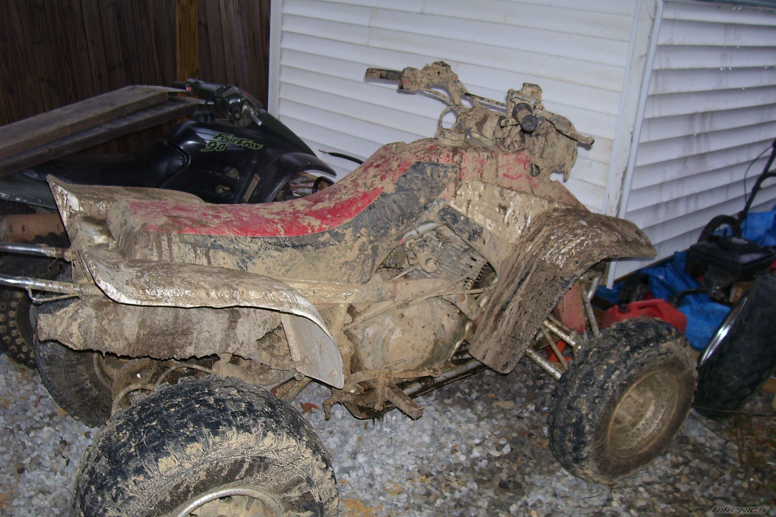 2000 YAMAHA WARRIOR | Picture 1197697 motorcycle photo