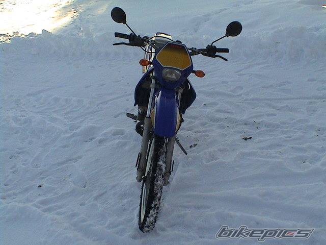 2002 DERBI X TREME | Picture 119881 motorcycle photo