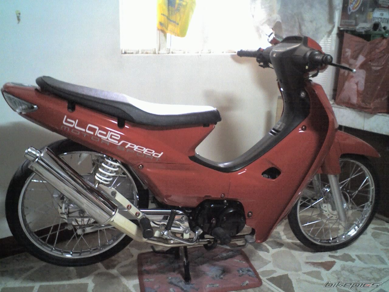 2005 HONDA WAVE ALPHA 100 | Picture 1199008 motorcycle photo
