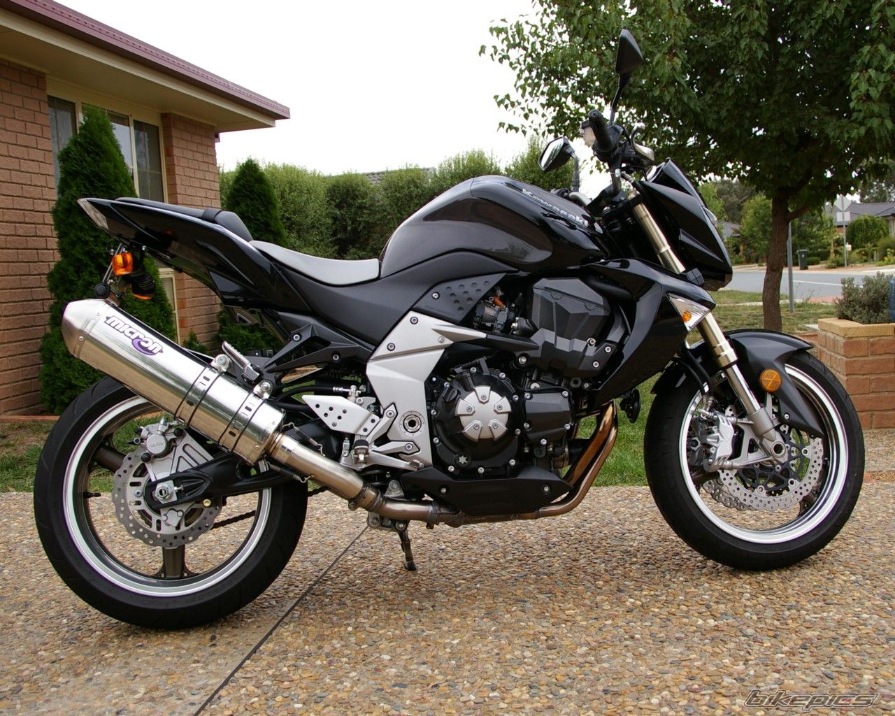 2007 KAWASAKI Z 1000 | Picture 1199441 motorcycle photo