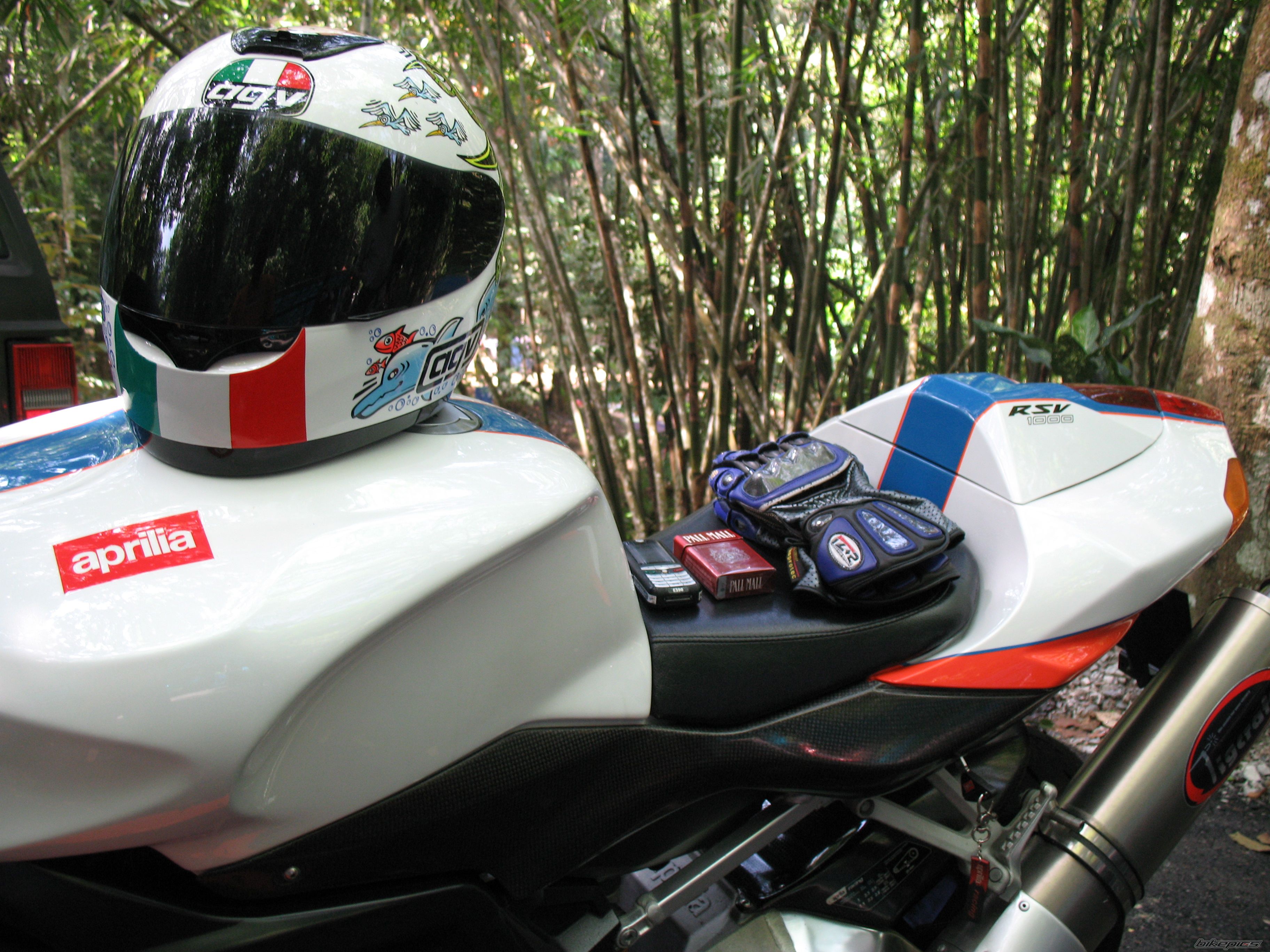 2004 APRILIA RSV MILLE FACTORY | Picture 1199636 motorcycle photo