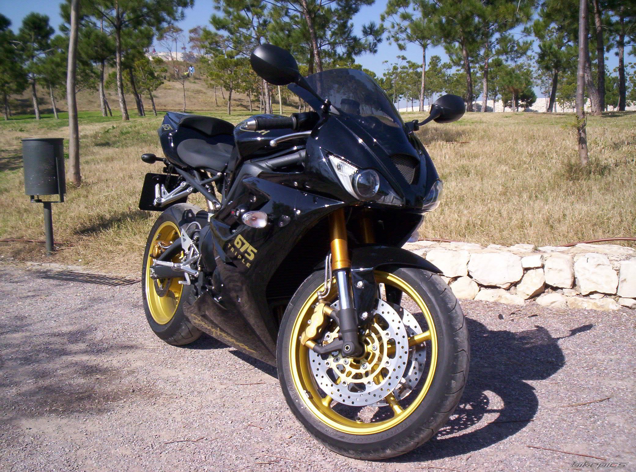 2008 TRIUMPH DAYTONA 675 | Picture 1199768 motorcycle photo