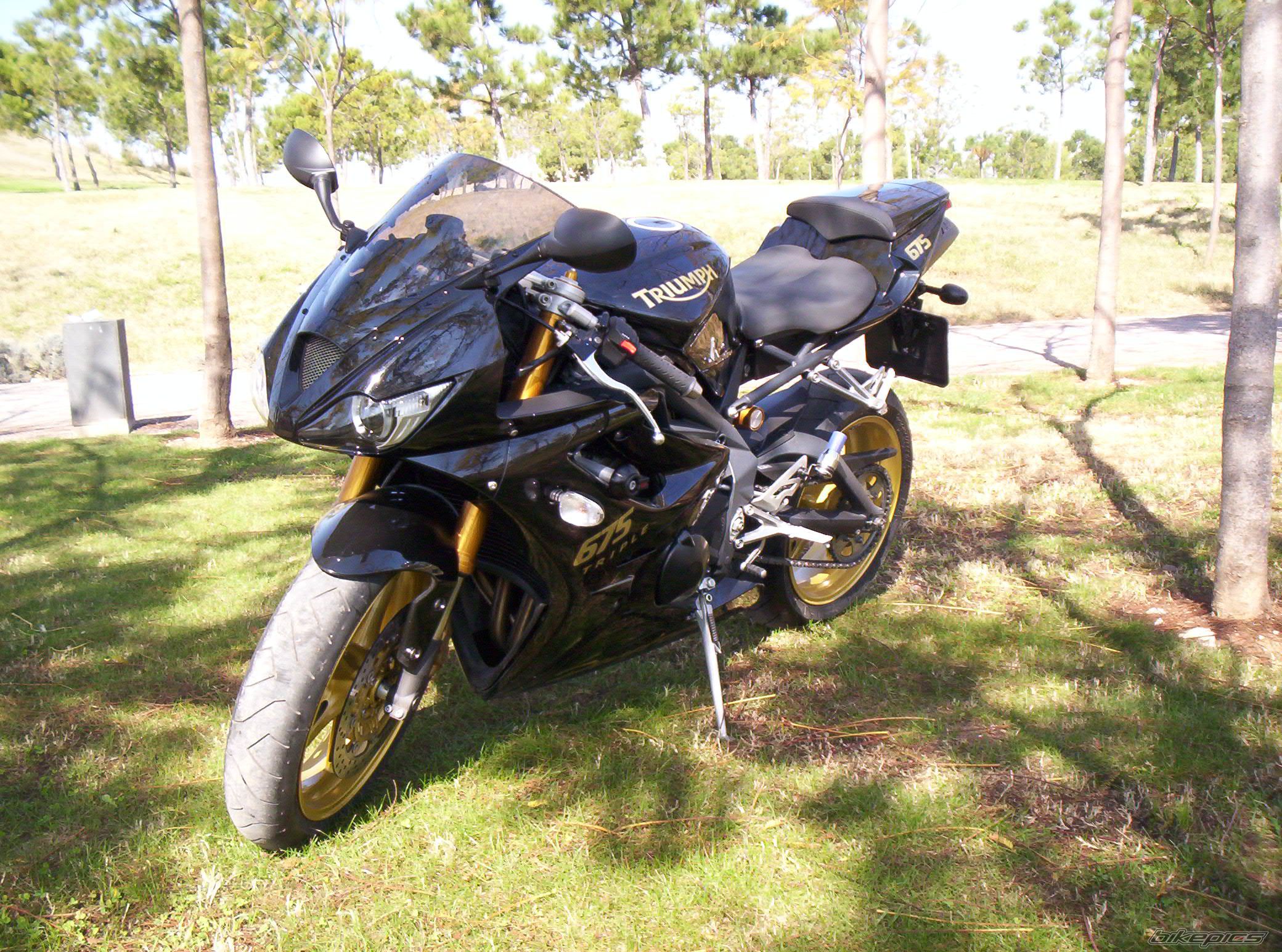 2008 TRIUMPH DAYTONA 675 | Picture 1199770 motorcycle photo