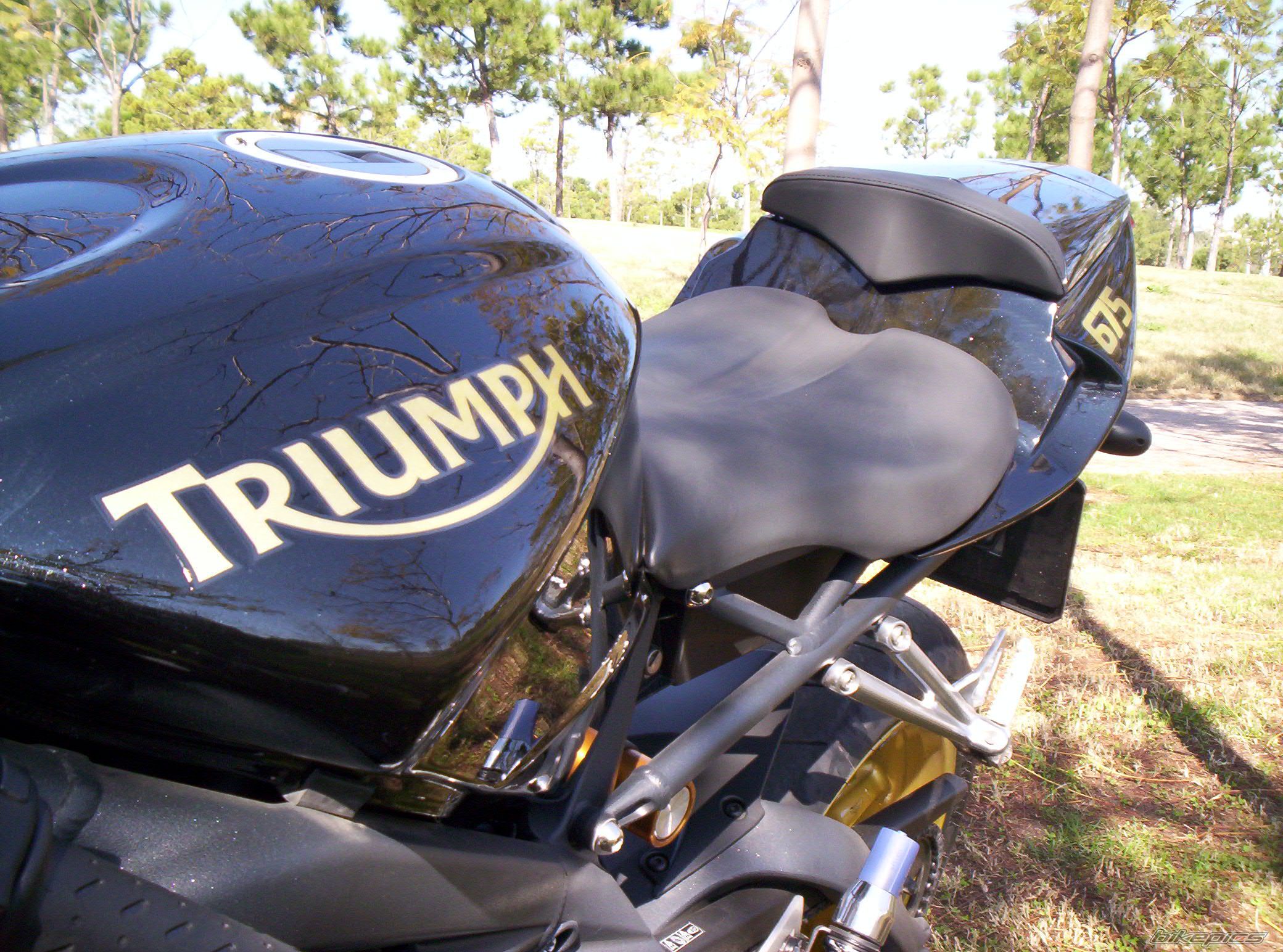 2008 TRIUMPH DAYTONA 675 | Picture 1199773 motorcycle photo