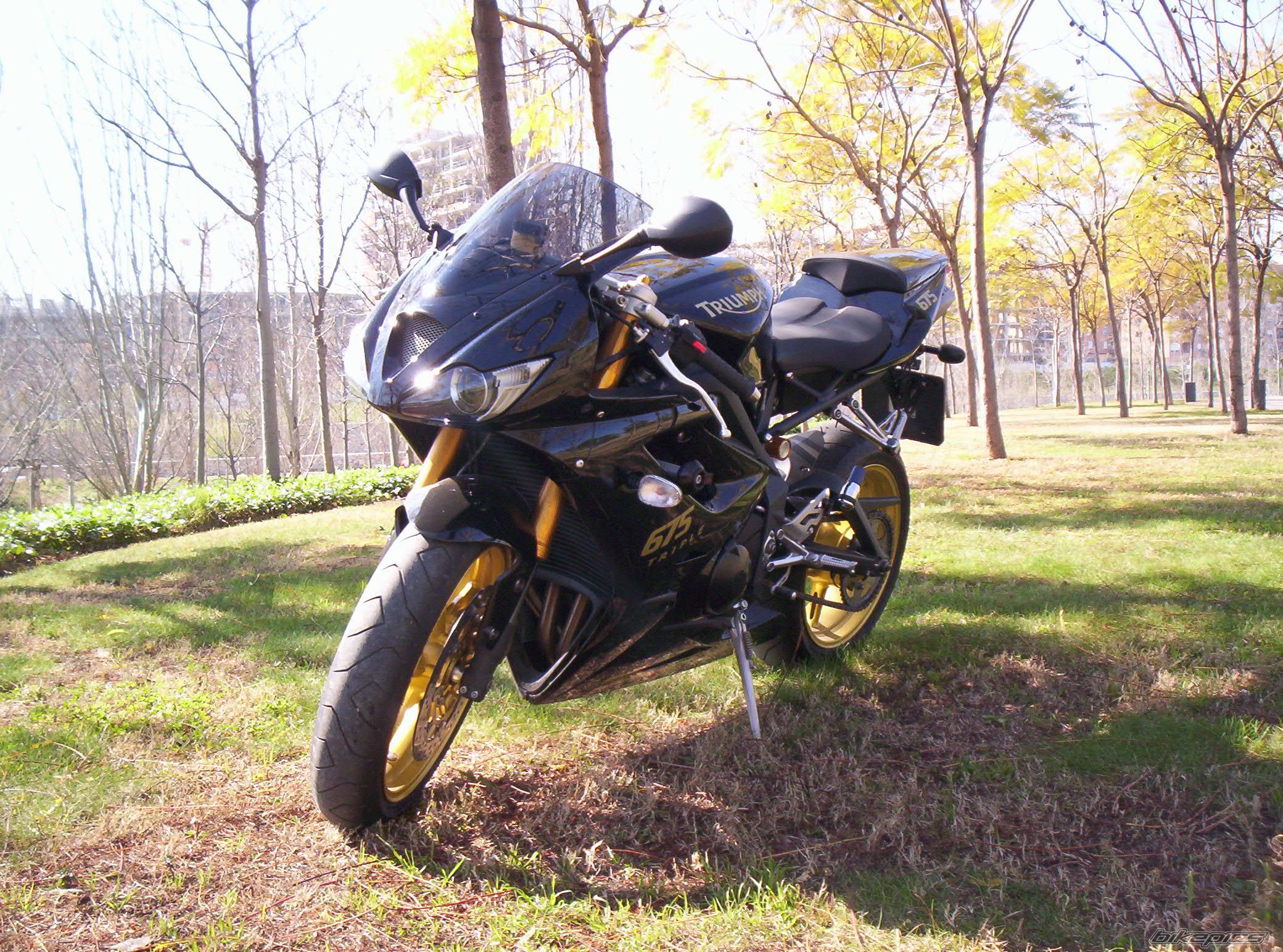 2008 TRIUMPH DAYTONA 675 | Picture 1199782 motorcycle photo