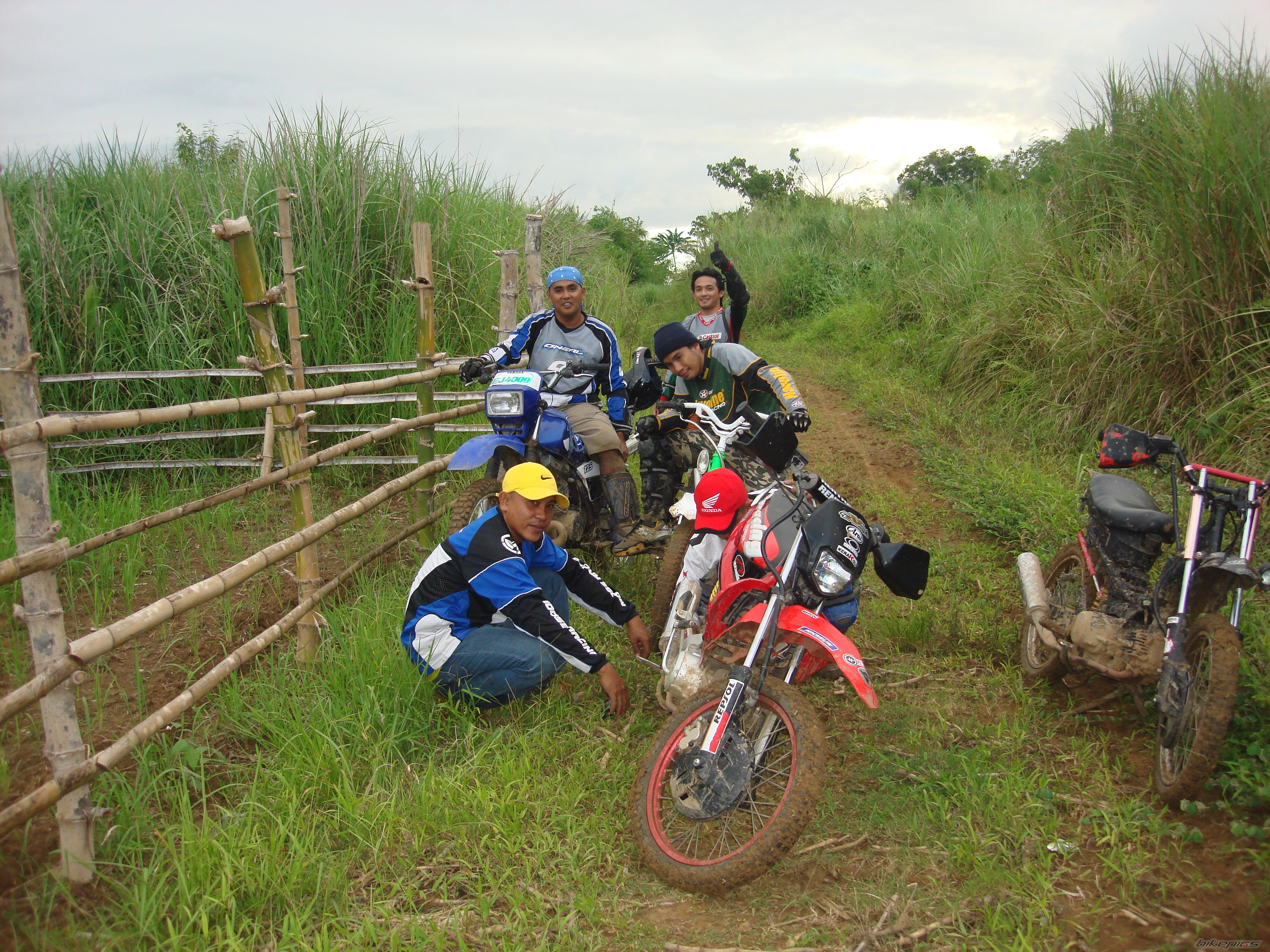 2008 HONDA XRM 110 | Picture 1199876 motorcycle photo