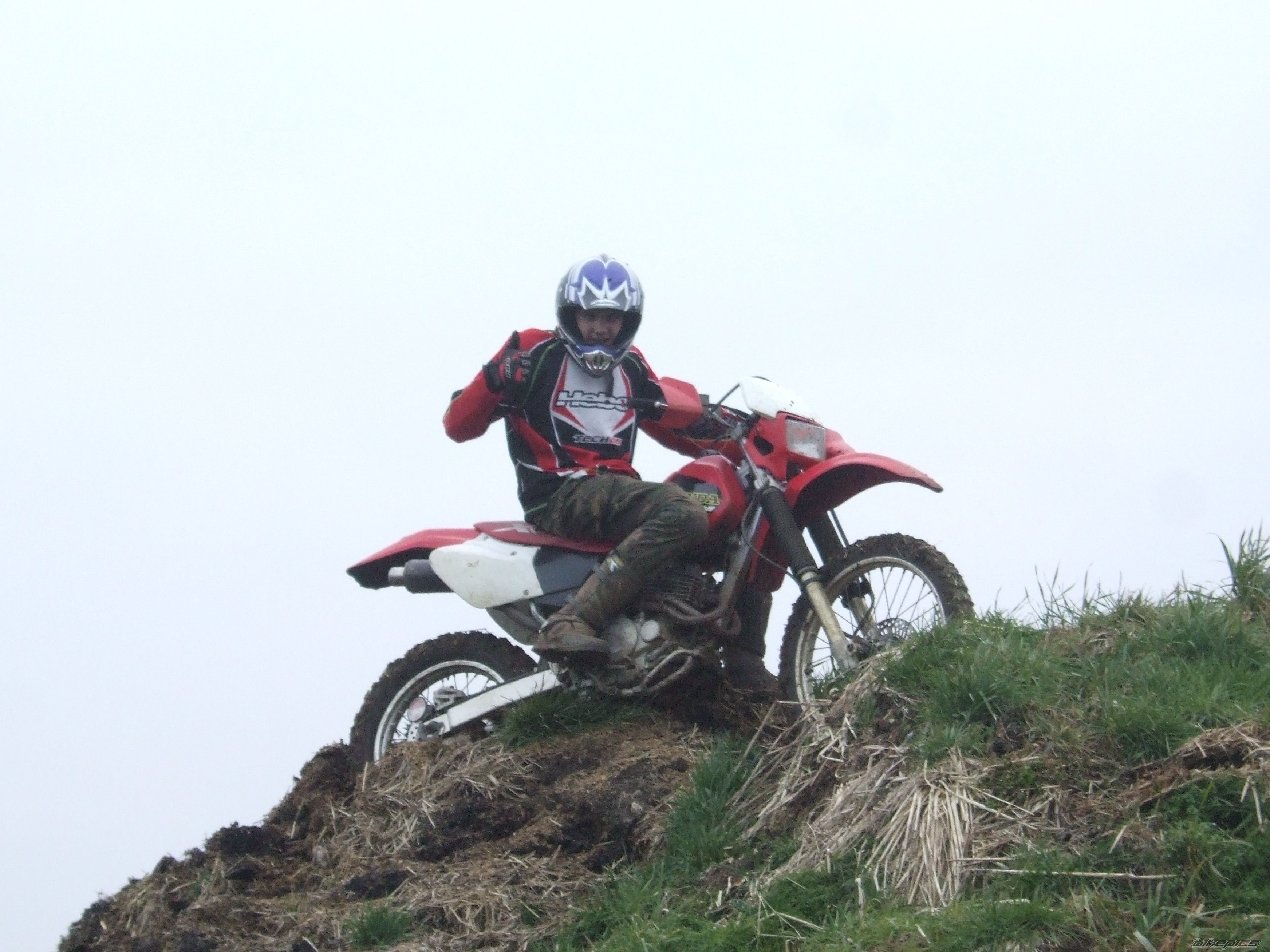 2000 HONDA XR 250 | Picture 1199935 motorcycle photo