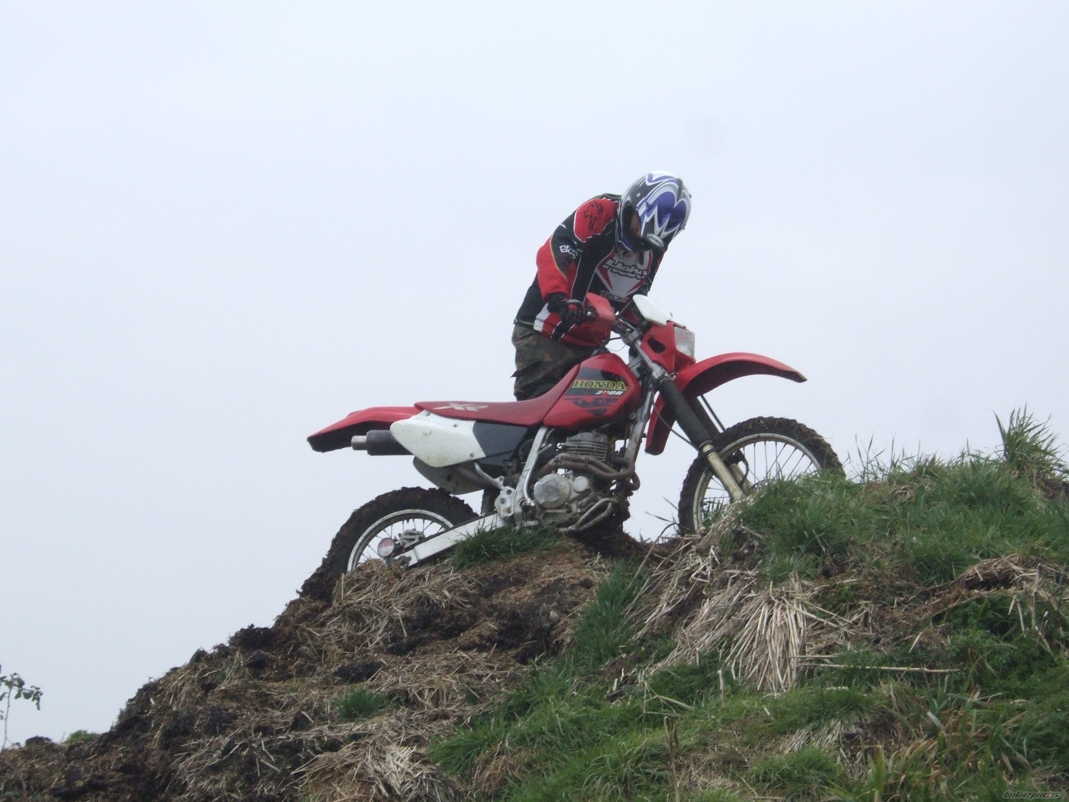 2000 HONDA XR 250 | Picture 1199940 motorcycle photo
