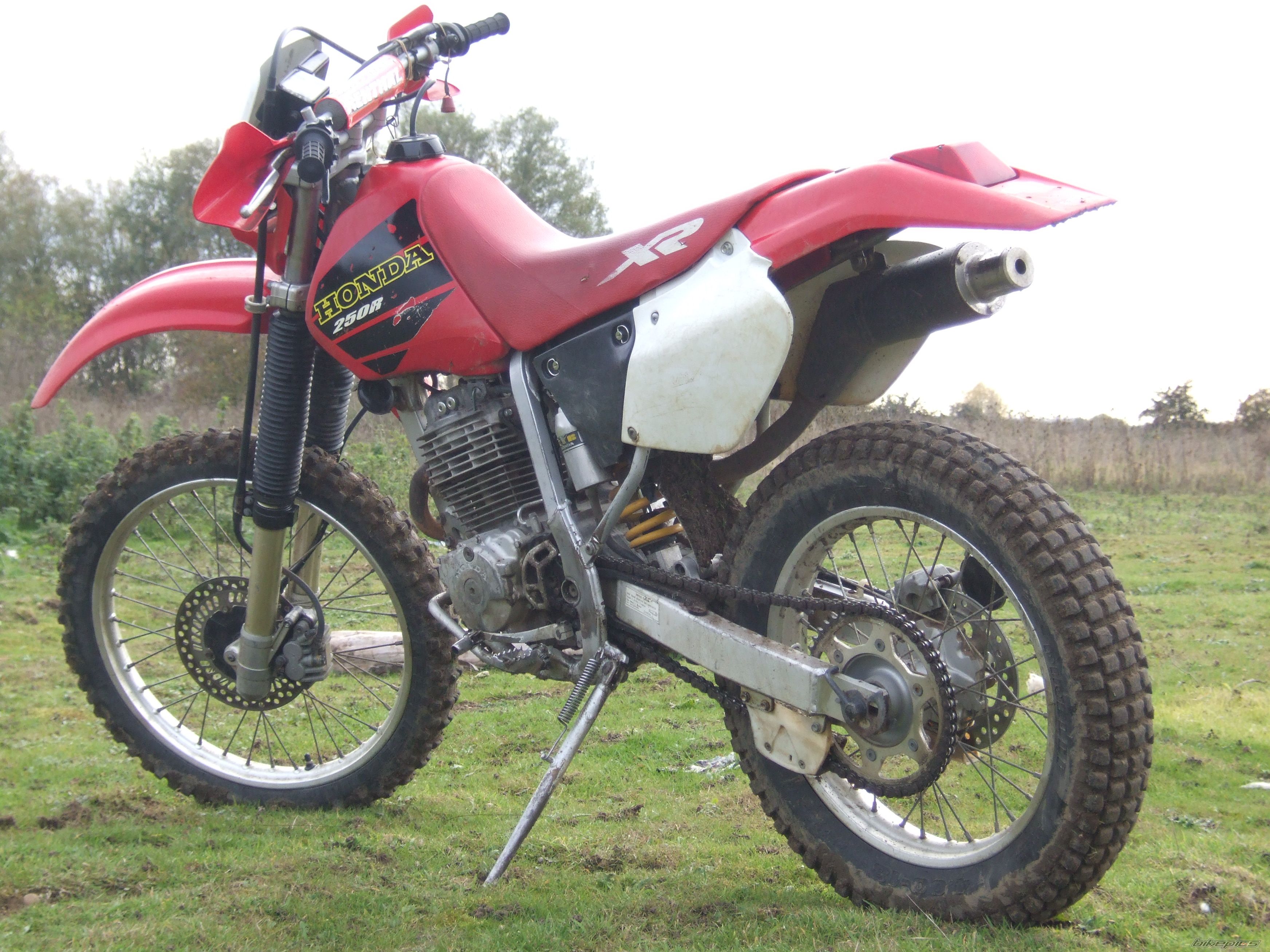 2000 HONDA XR 250 | Picture 1199961 motorcycle photo