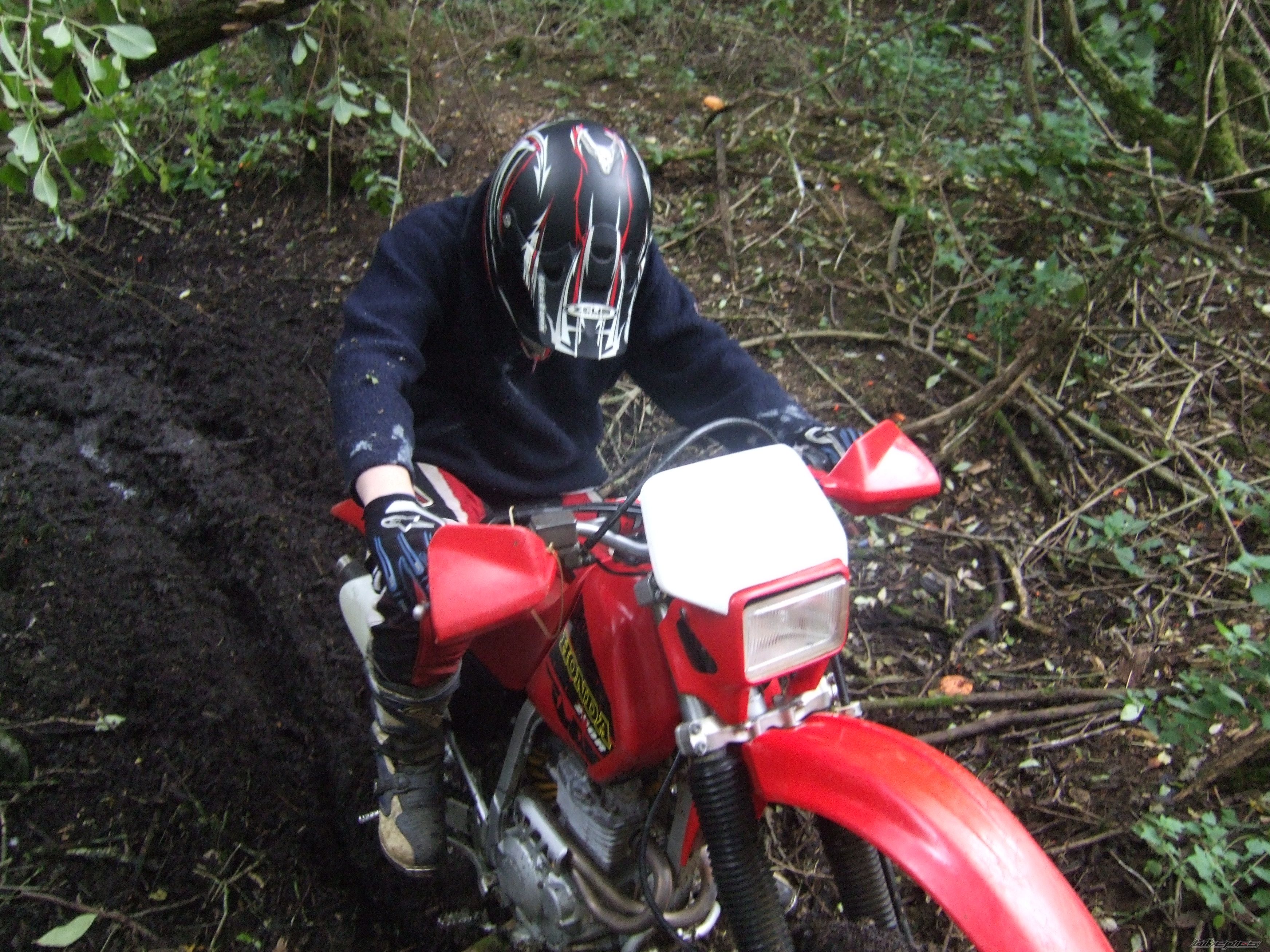 2000 HONDA XR 250 | Picture 1199964 motorcycle photo