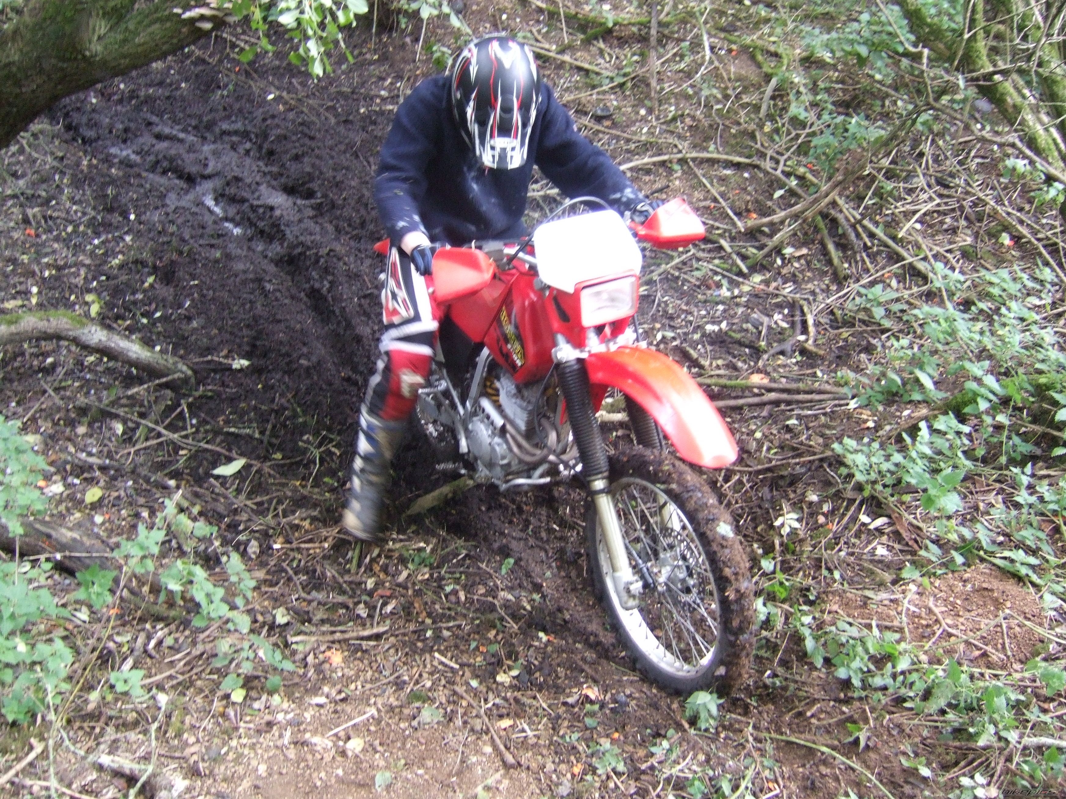 2000 HONDA XR 250 | Picture 1199968 motorcycle photo