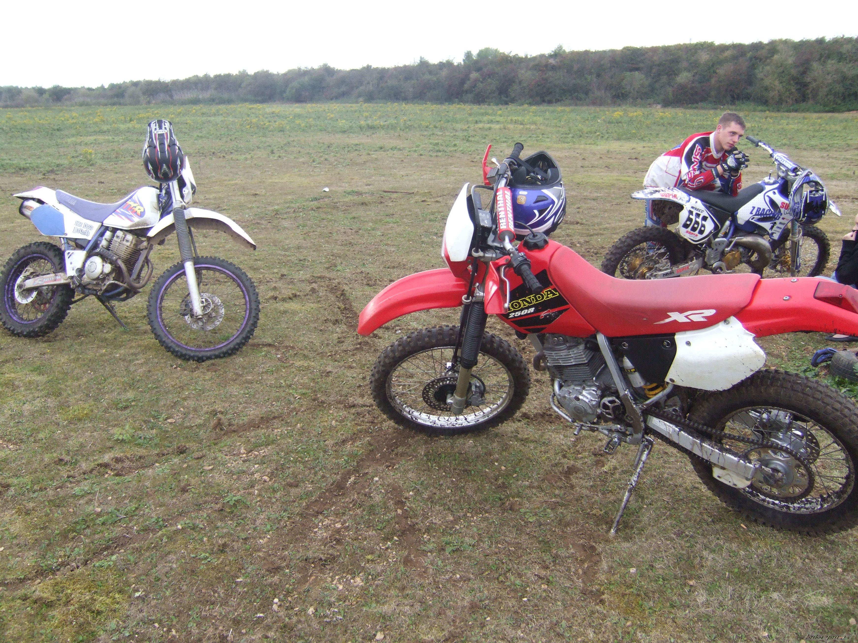2000 HONDA XR 250 | Picture 1199971 motorcycle photo