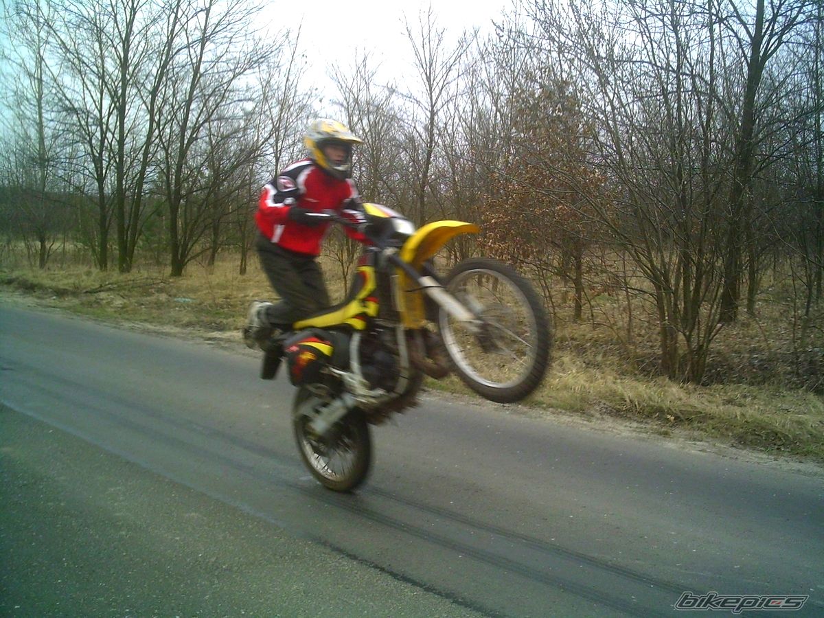 2001 APRILIA ETX 125 | Picture 1200038 motorcycle photo