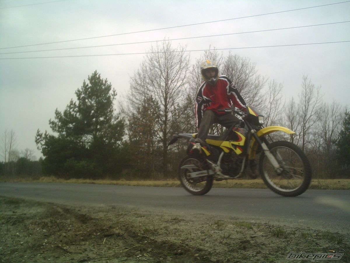 2001 APRILIA ETX 125 | Picture 1200099 motorcycle photo