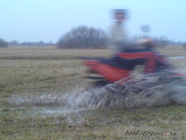 2006 TGB ORION 101 S | Picture 1200125 motorcycle photo