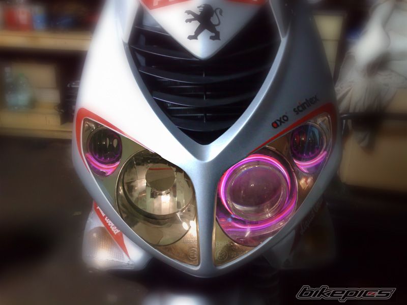 2003 PEUGEOT SPEEDFIGHT2 50 | Picture 1201322 motorcycle photo
