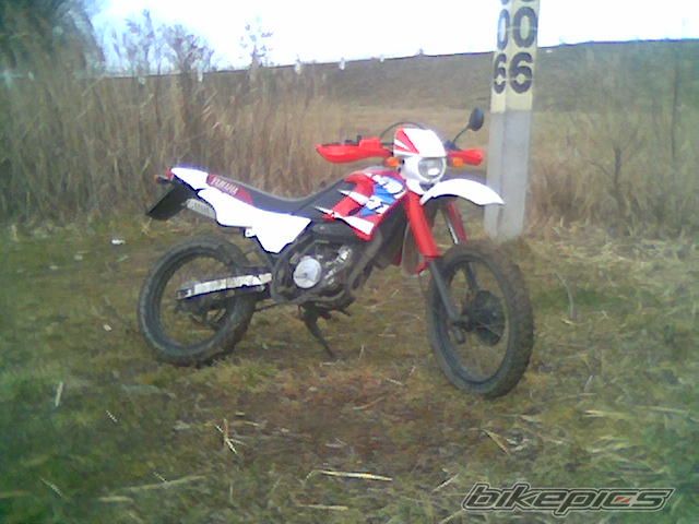 2001 YAMAHA DT 50 | Picture 1201465 motorcycle photo