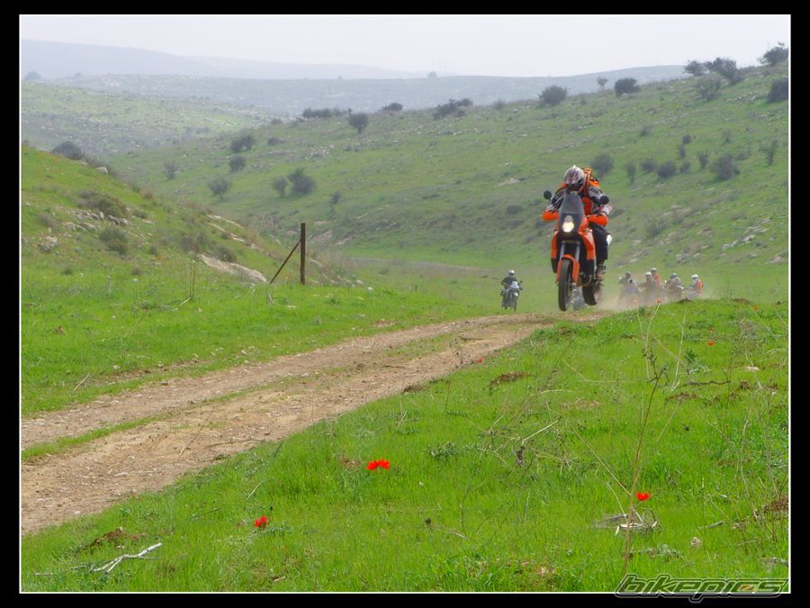2006 KTM 990 ADVENTURE S | Picture 1201720 motorcycle photo