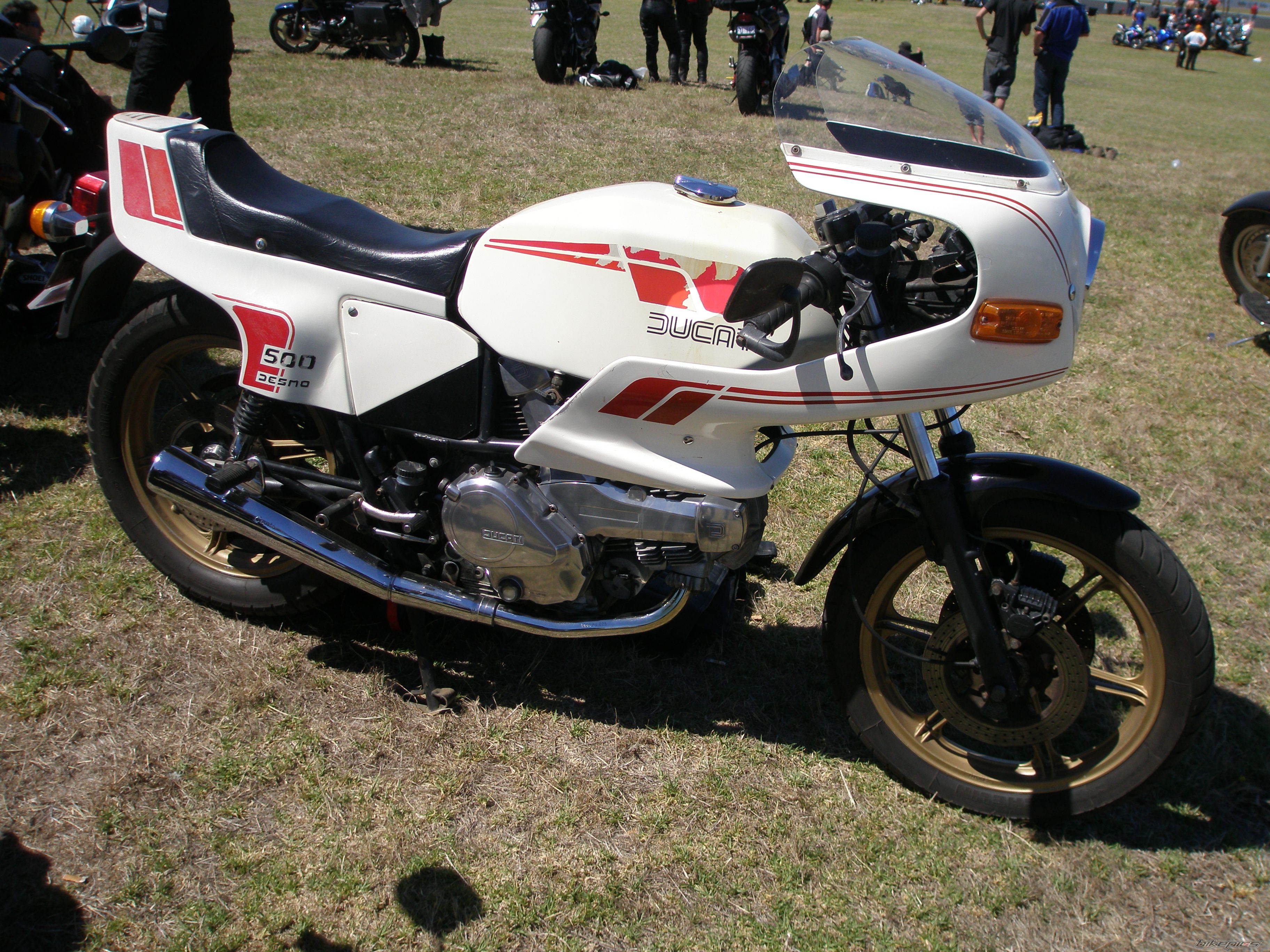 1982 DUCATI PANTAH 600 | Picture 1201773 motorcycle photo