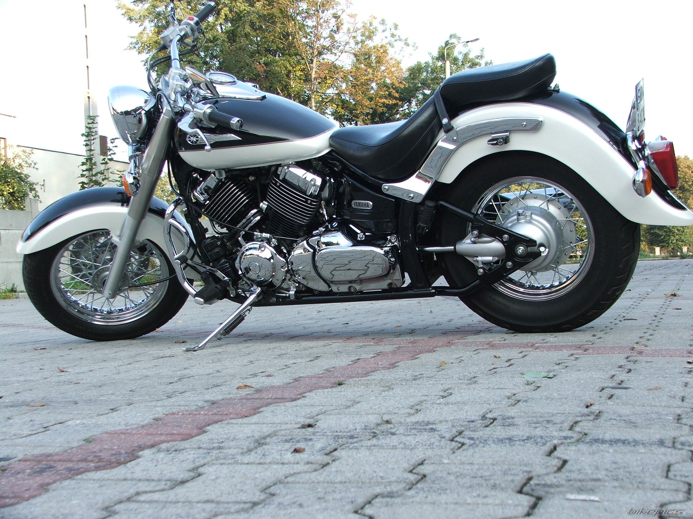 2000 YAMAHA XVS 650 DRAG STAR CLASSIC | Picture 1201857 motorcycle photo