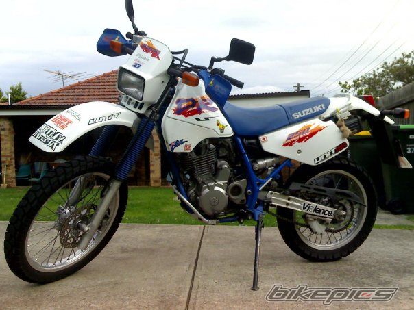 1995 SUZUKI DR 250 | Picture 1201894 motorcycle photo