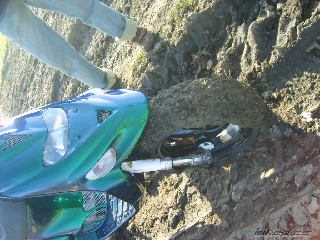 2002 GILERA STALKER 50 | Picture 1201929 motorcycle photo