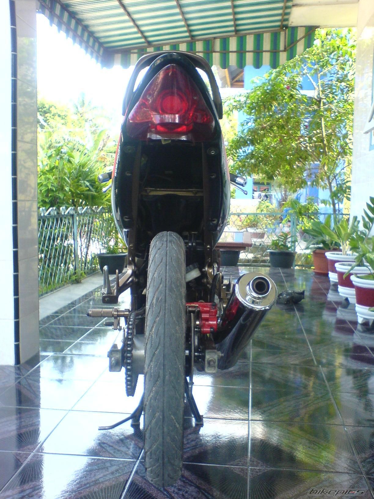 2005 SUZUKI SATRIA F 150 | Picture 1201967 motorcycle photo