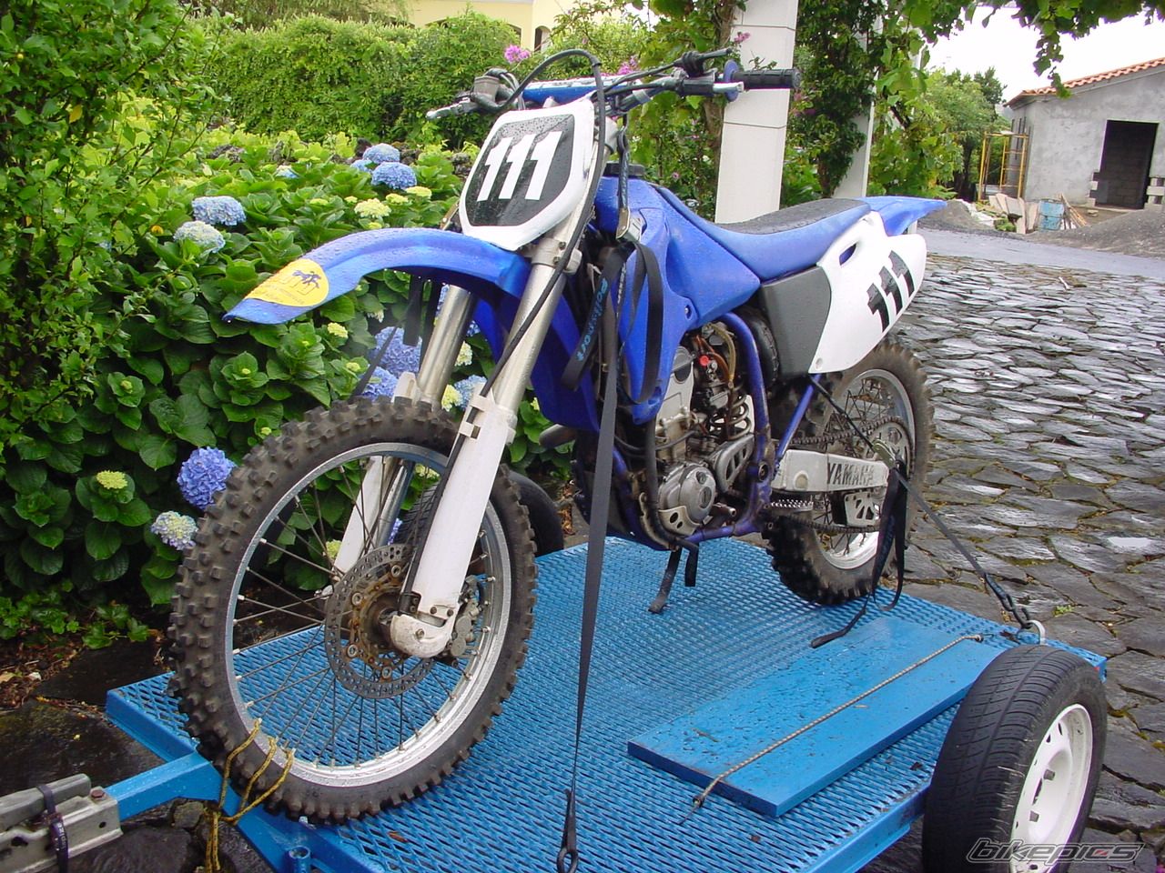 2002 YAMAHA WR 250F | Picture 1202531 motorcycle photo